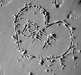 /album/fotogalerie/best-forever-jpg/